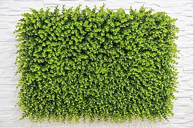 《名侦探皮卡丘：闪电归来》纪念日将公布重要消息